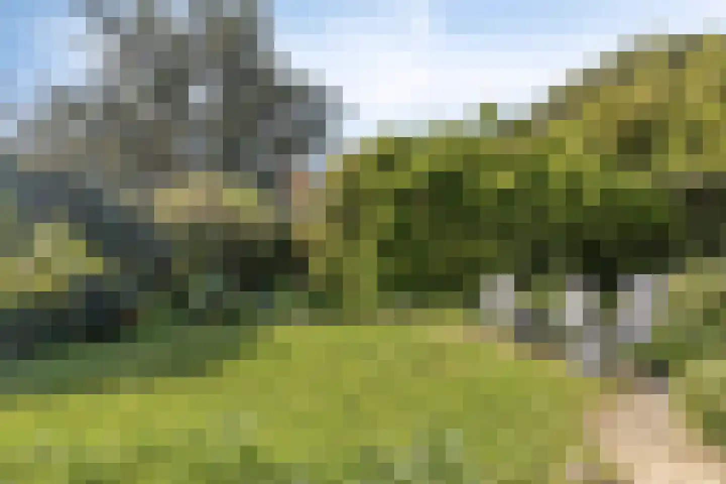 Mariëndijk 57 A Honselersdijk thumbnail 37