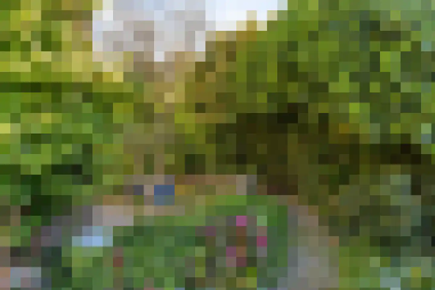 Mariëndijk 57 A Honselersdijk thumbnail 38