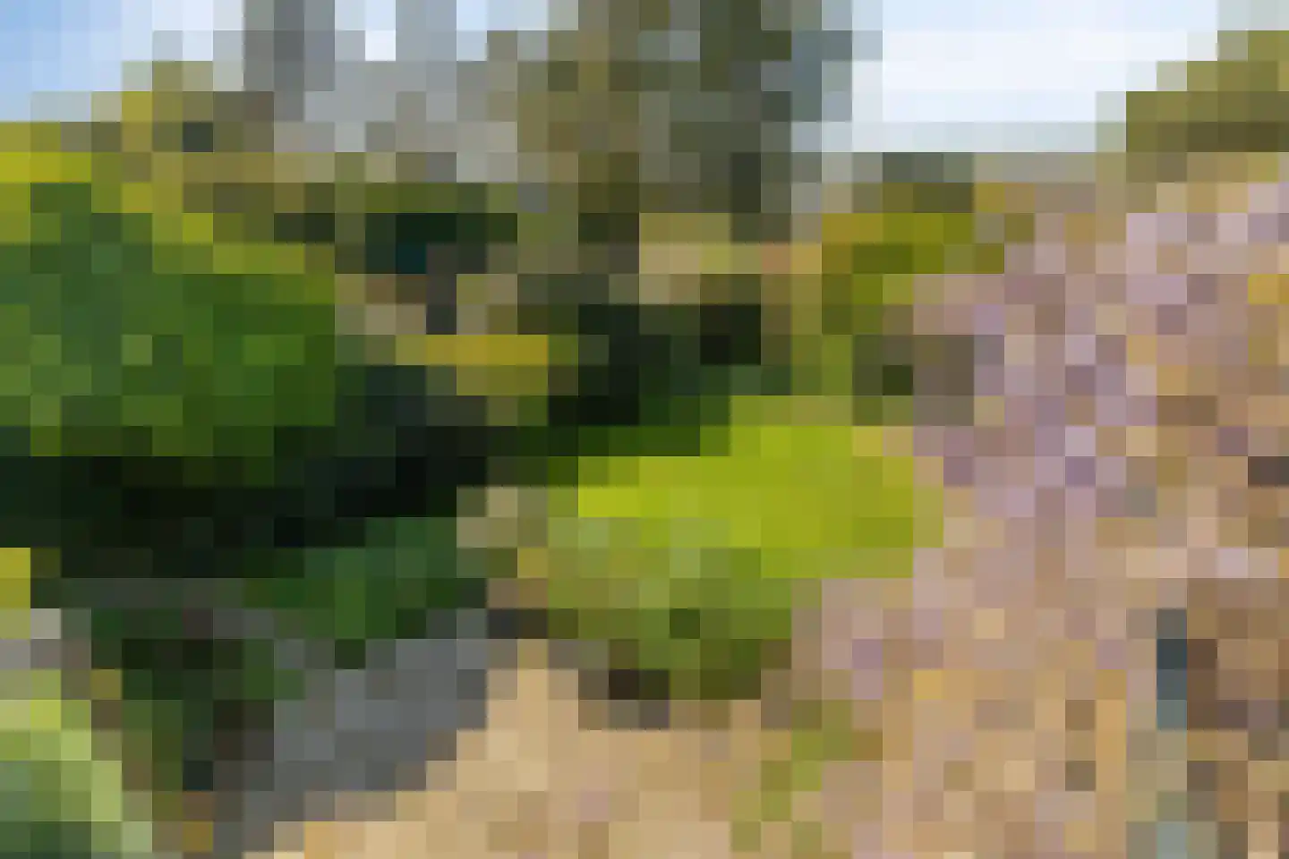 Mariëndijk 57 A Honselersdijk thumbnail 4