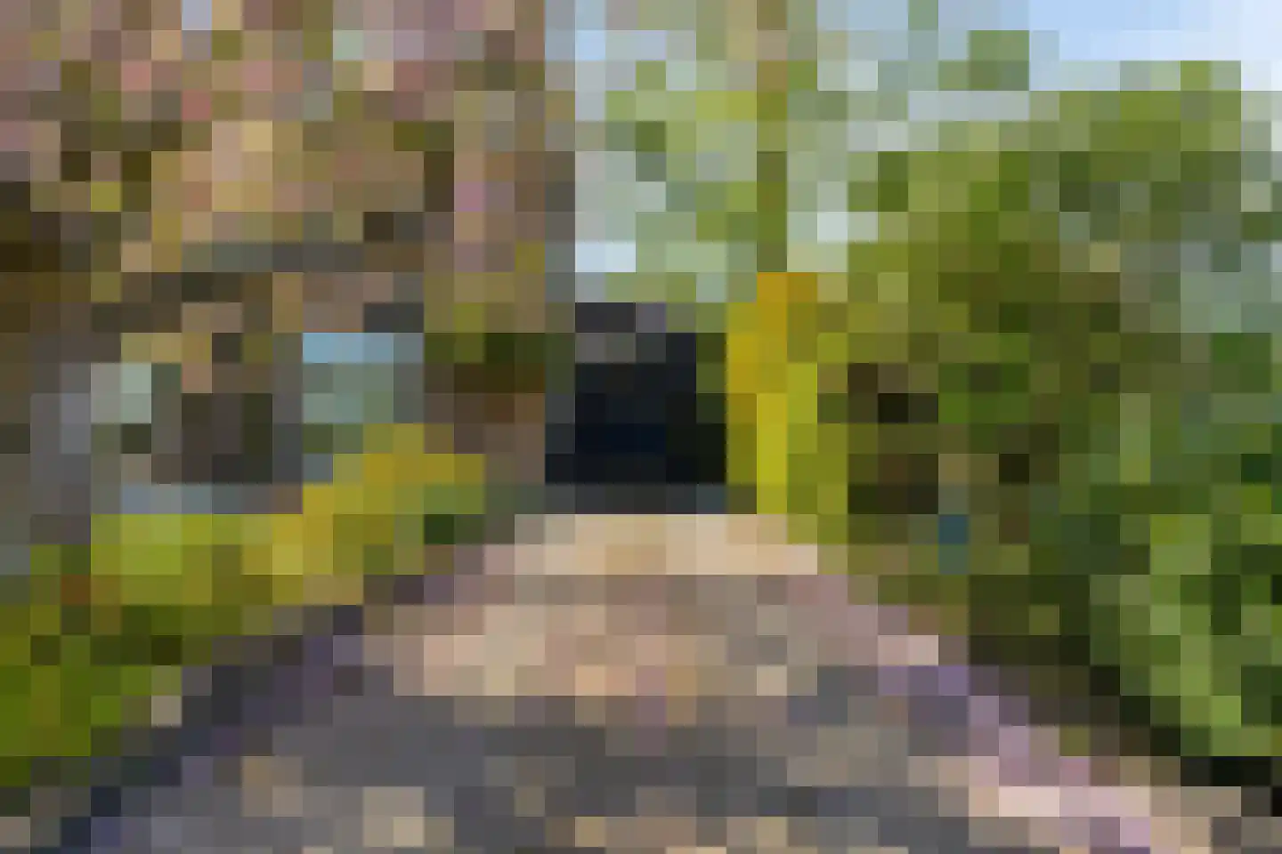 Mariëndijk 57 A Honselersdijk thumbnail 7