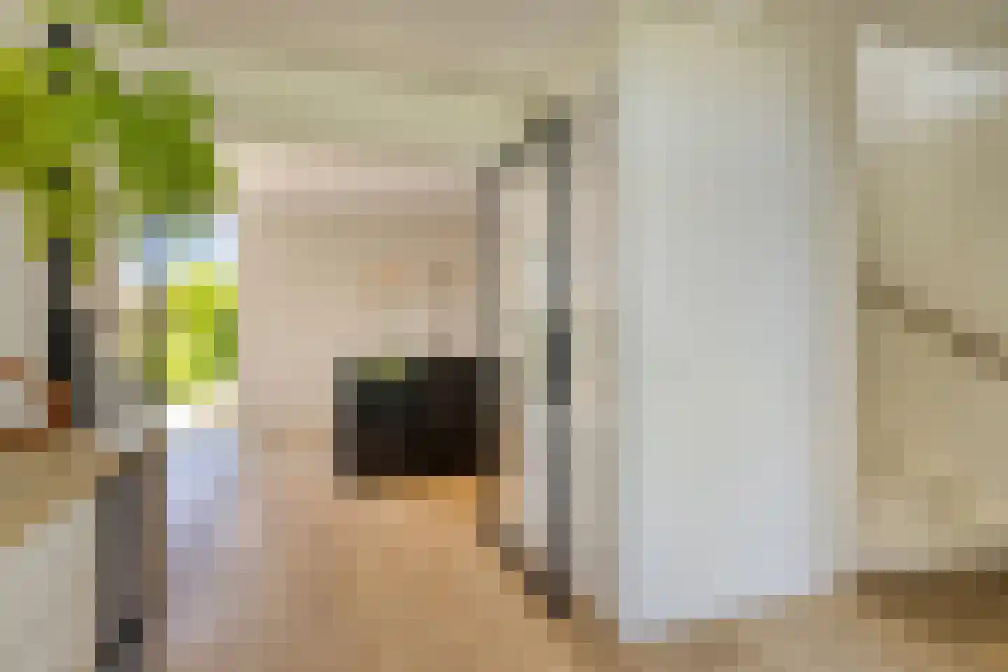 Mariëndijk 57 A Honselersdijk thumbnail 8