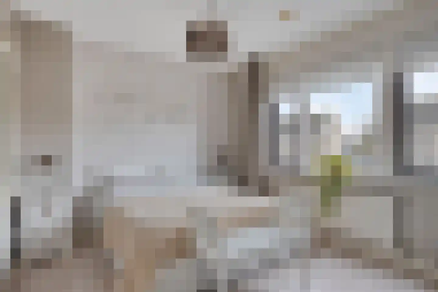 Mariëngaard 15 Heeswijk-Dinther thumbnail 12
