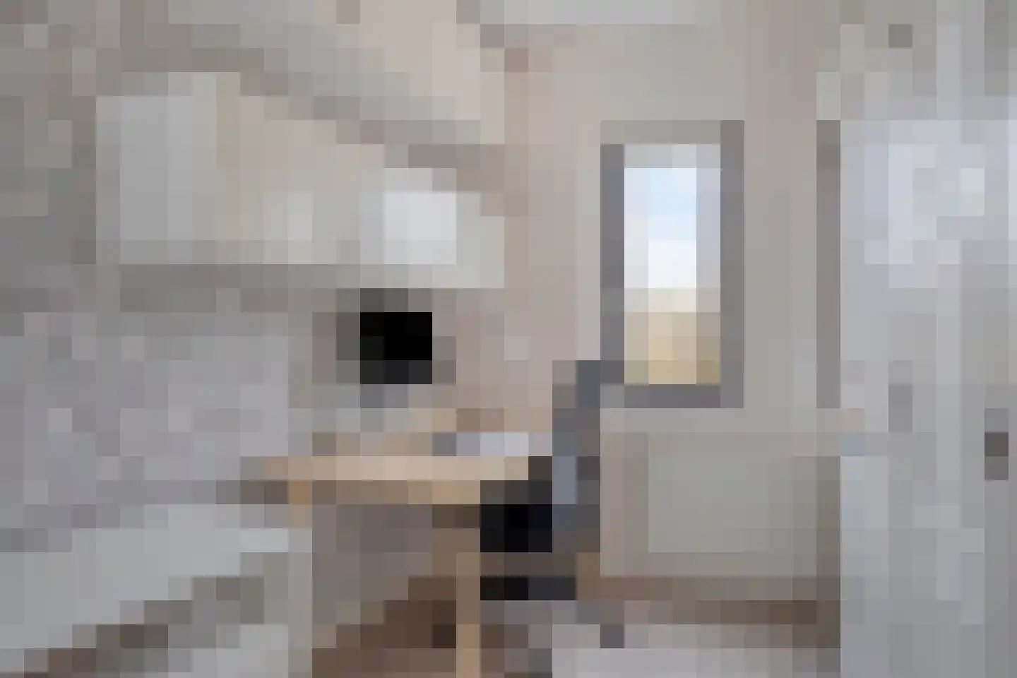 Mariëngaard 15 Heeswijk-Dinther thumbnail 17