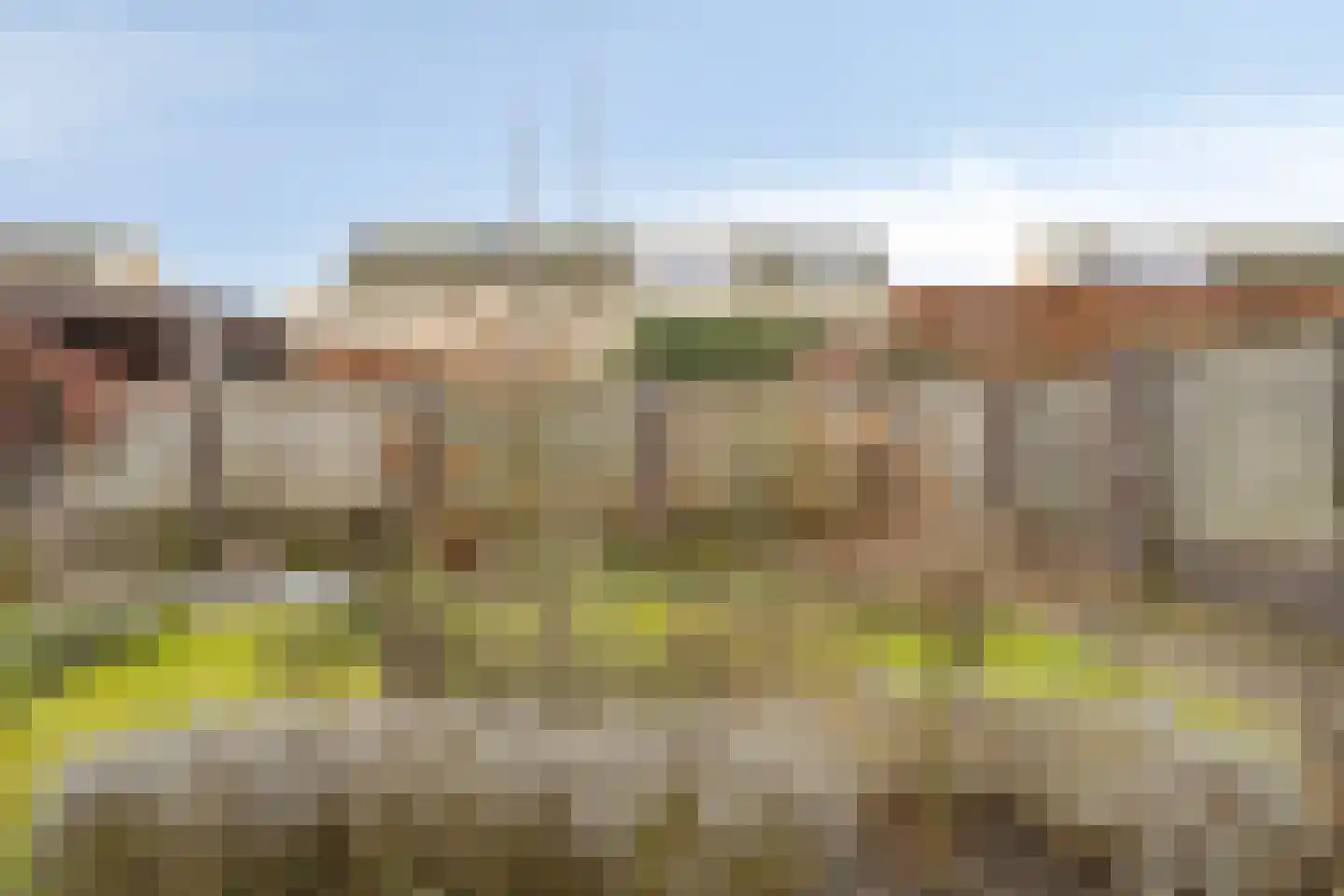 Mariëngaard 15 Heeswijk-Dinther thumbnail 31