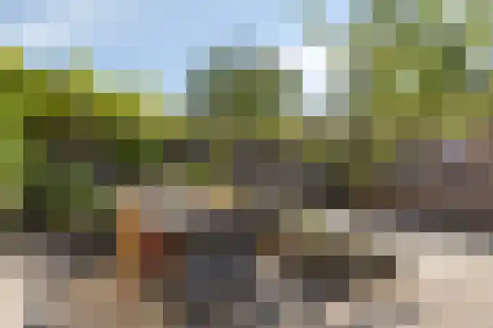 Mariëngaard 61 Drachten thumbnail 38