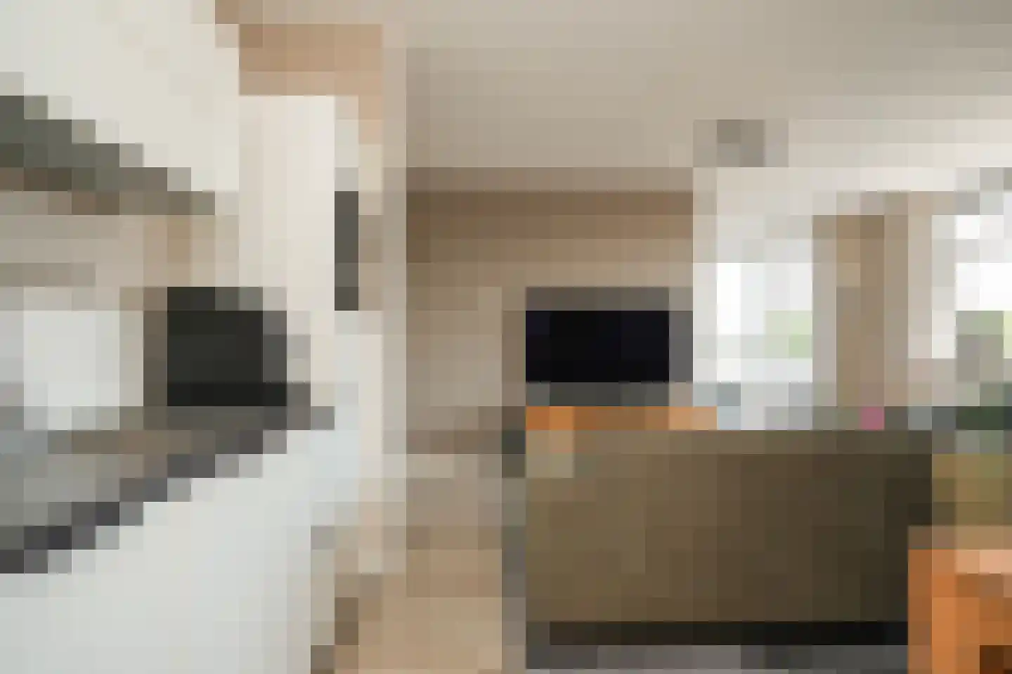 Mariëngaerde 7 Opheusden thumbnail 14