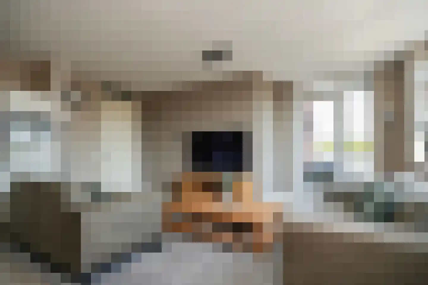 Mariëngaerde 7 Opheusden thumbnail 15
