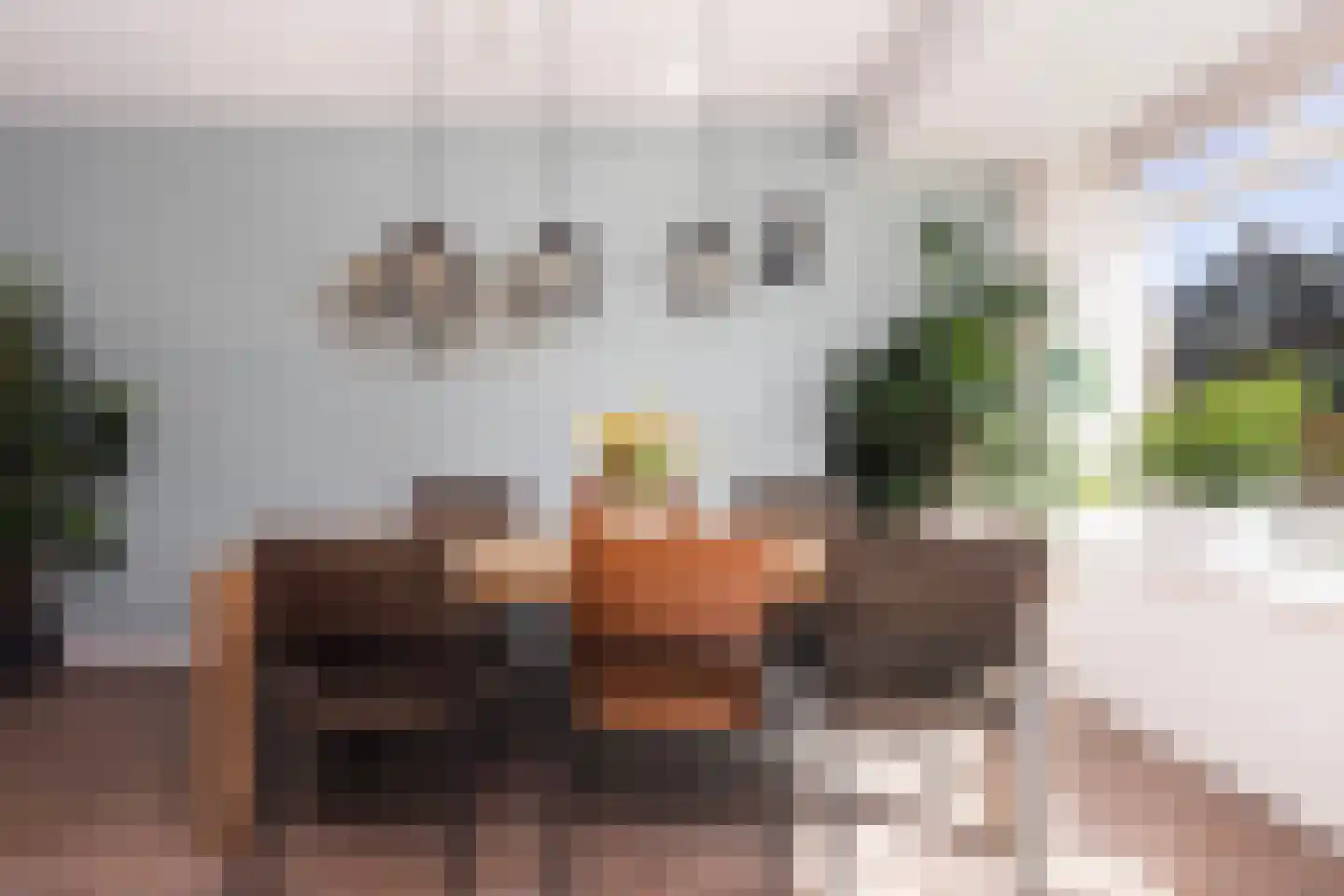 Mariënhorst 11 Epse thumbnail 13
