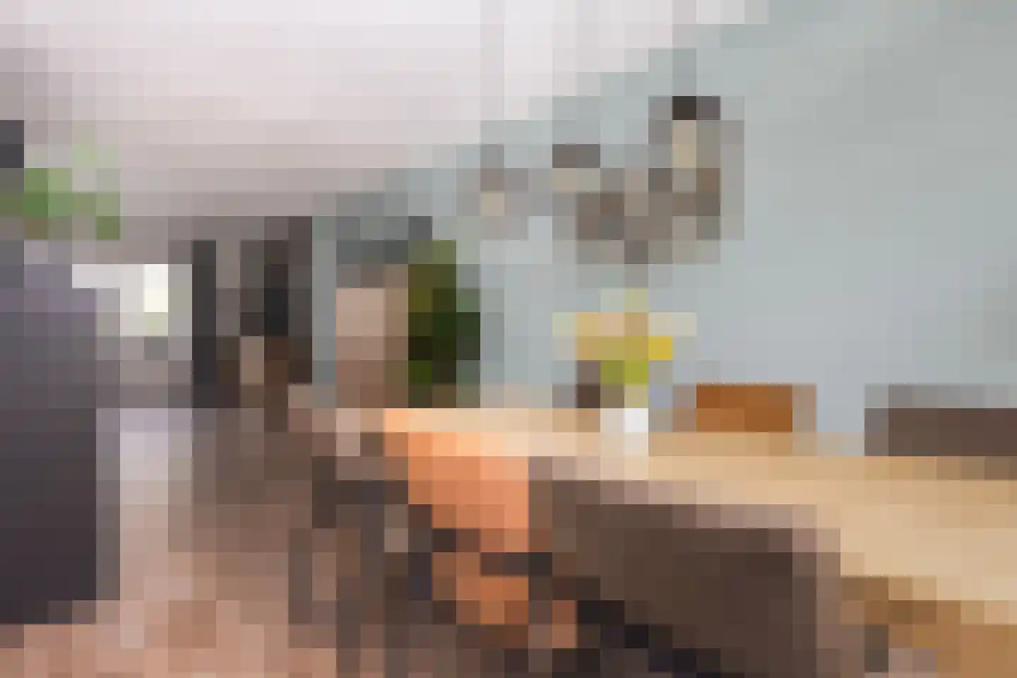 Mariënhorst 11 Epse thumbnail 15