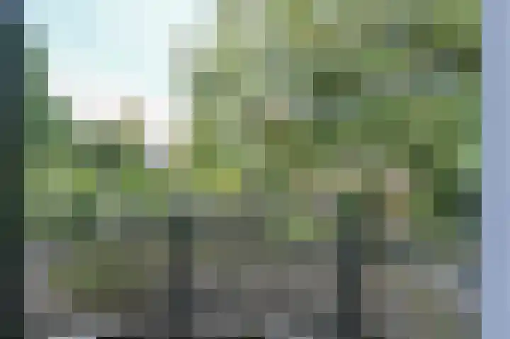 Mariënhoven 100 Bennekom thumbnail 20