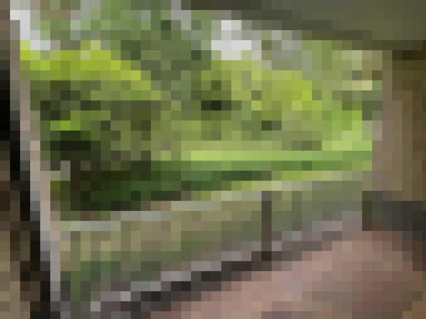 Mariënhoven 36 Bennekom thumbnail 19