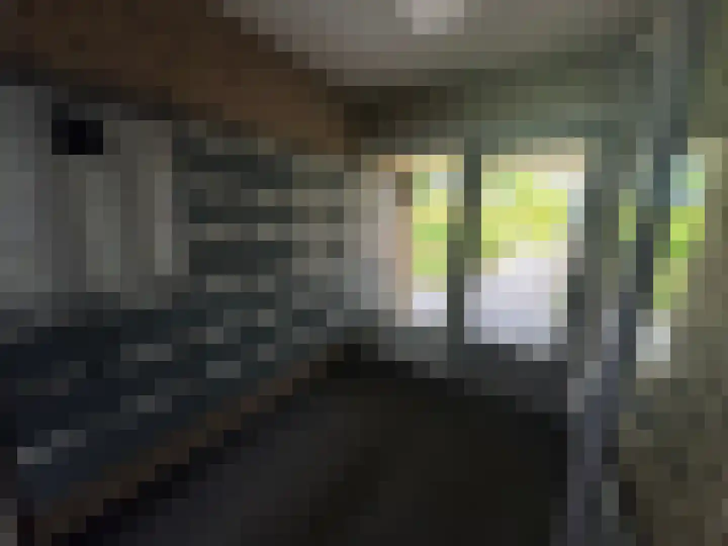 Mariënhoven 36 Bennekom thumbnail 8