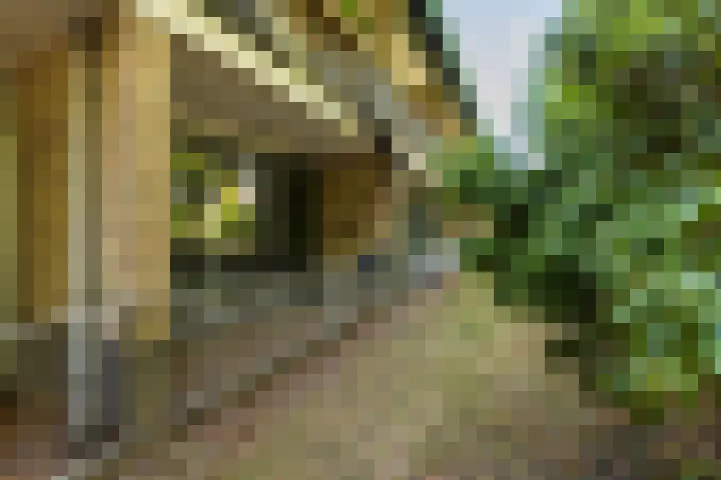 Mariënhoven 38 Bennekom thumbnail 25