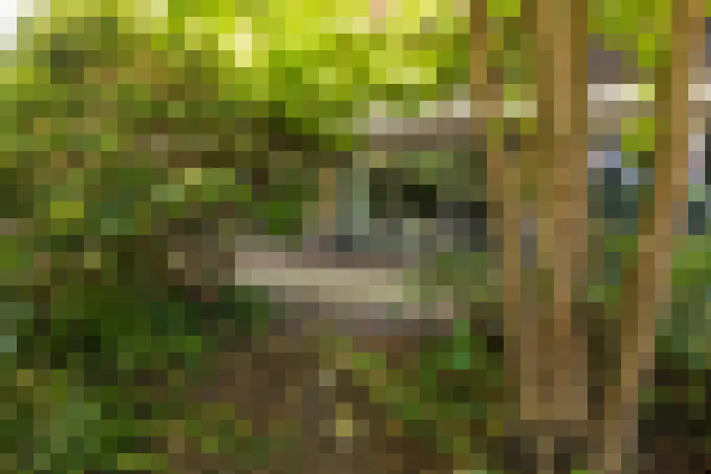 Mariënhoven 38 Bennekom thumbnail 27