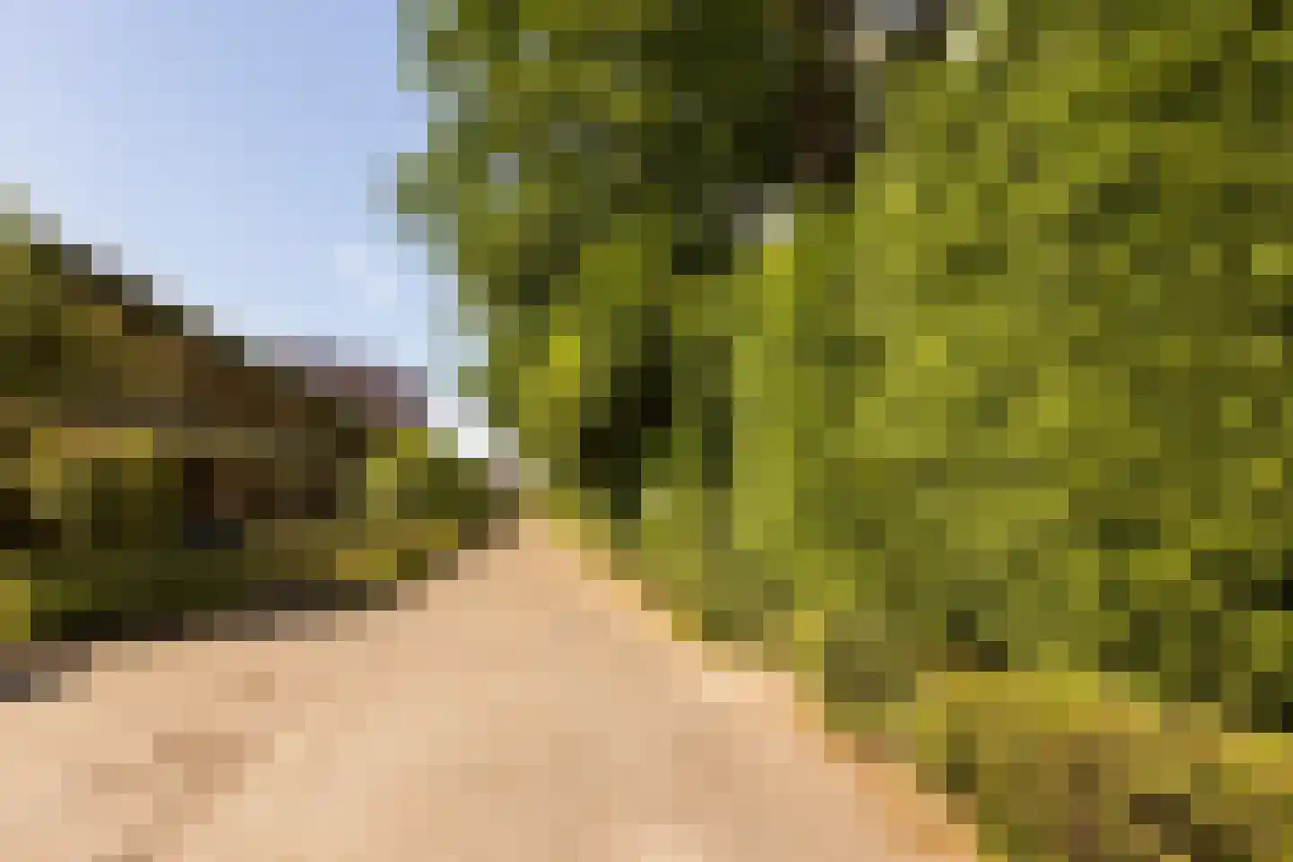 Mariënhoven 38 Bennekom thumbnail 28