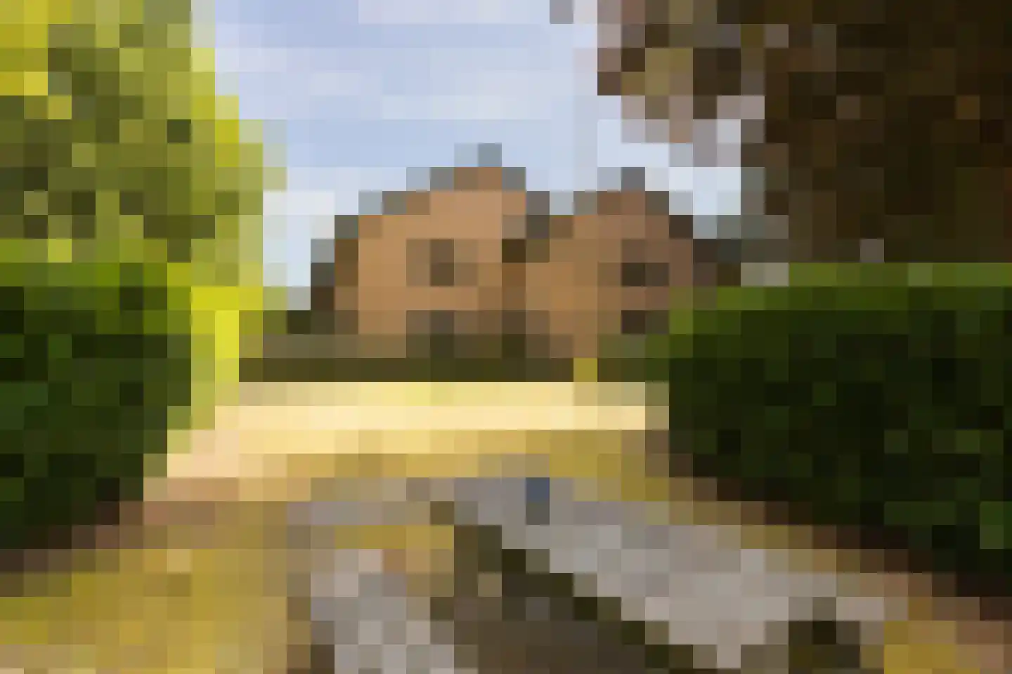 Mariënhoven 38 Bennekom thumbnail 5