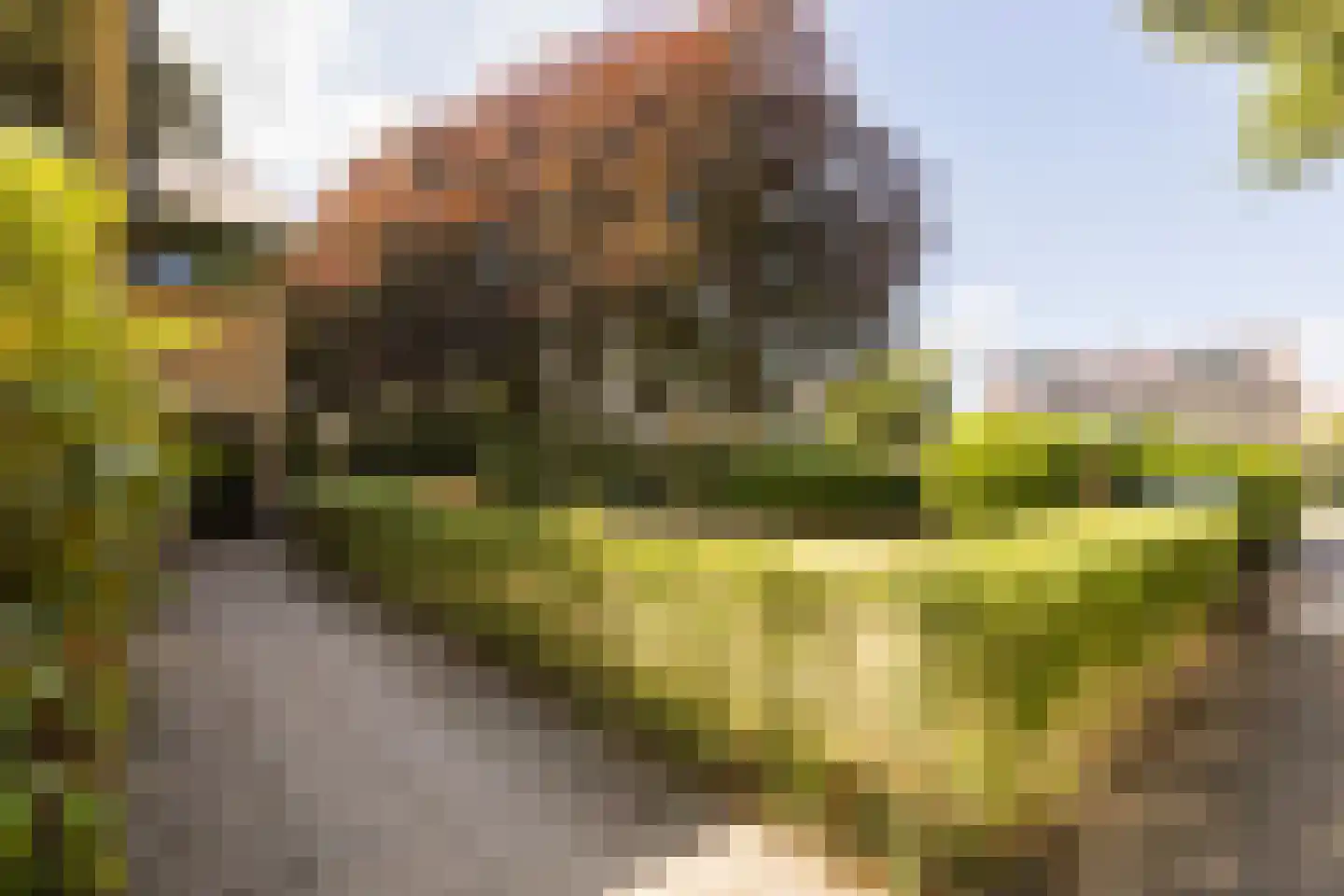 Mariënhoven 38 Bennekom thumbnail 6
