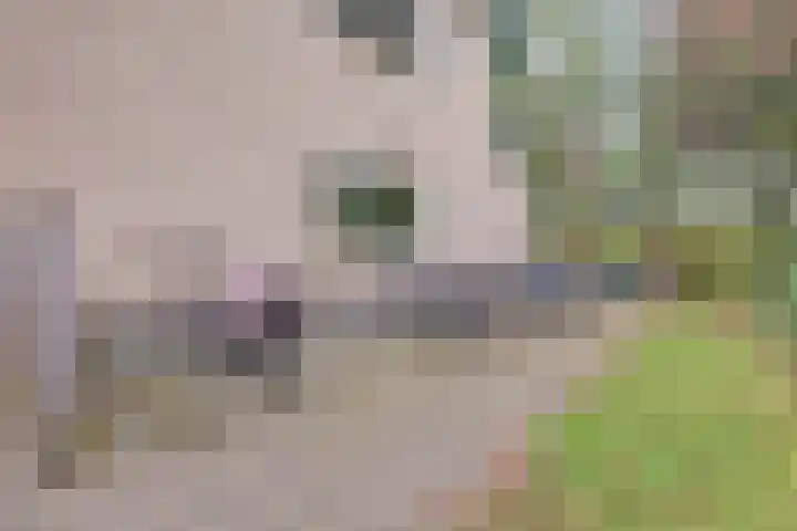 Mariënhoven 46 Bennekom thumbnail 7