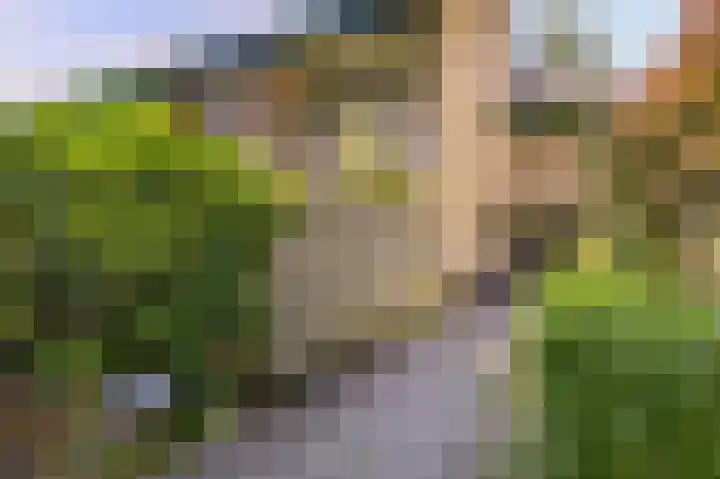 Mariënhoven 58 Bennekom thumbnail 18