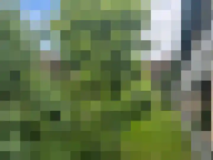 Mariënhoven 64 Bennekom thumbnail 4