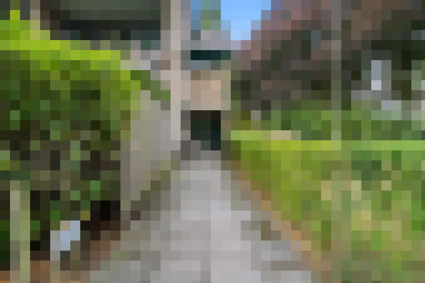 Mariënhoven 68 Bennekom thumbnail 6