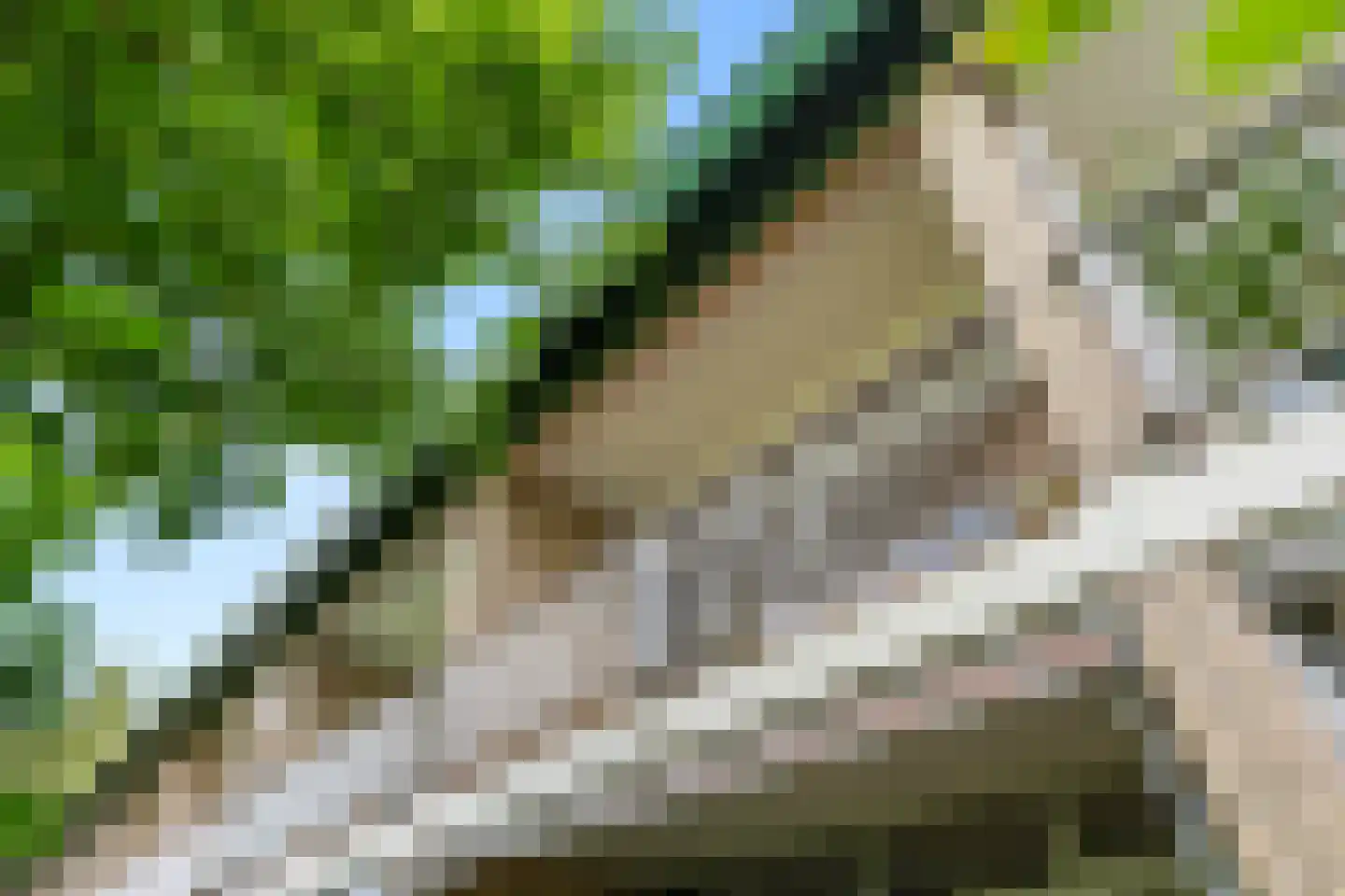 Mariënhoven 68 Bennekom thumbnail 9