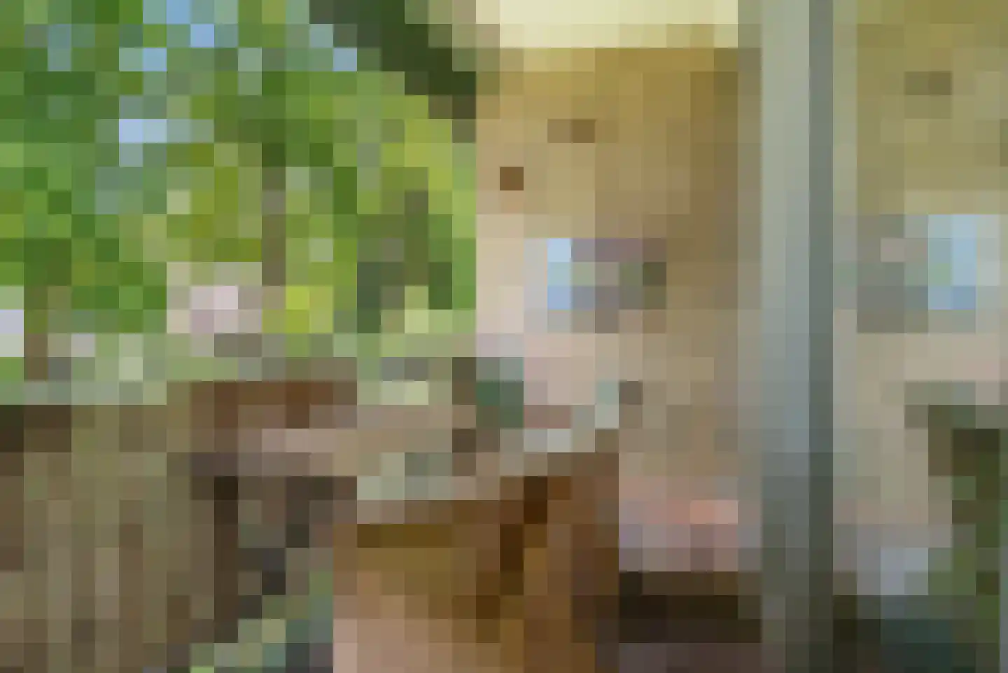 Mariënhoven 90 Bennekom thumbnail 12