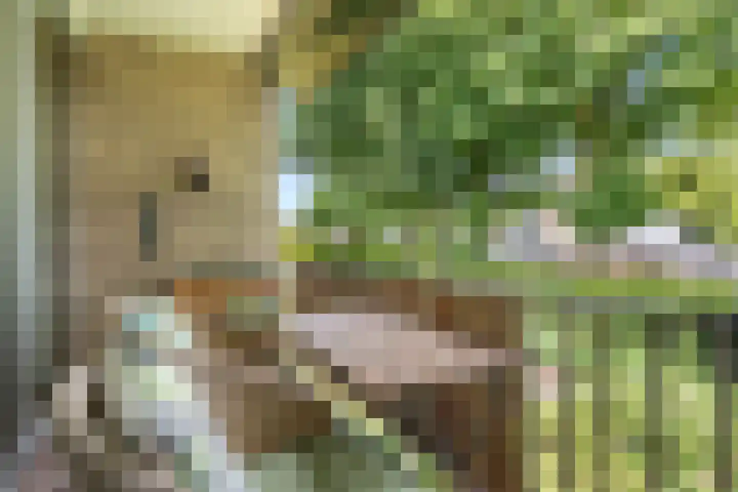 Mariënhoven 90 Bennekom thumbnail 13