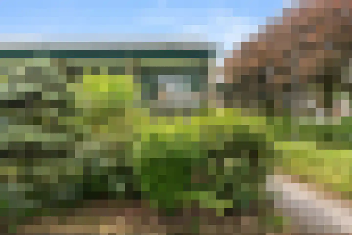 Mariënhoven 90 Bennekom thumbnail 30