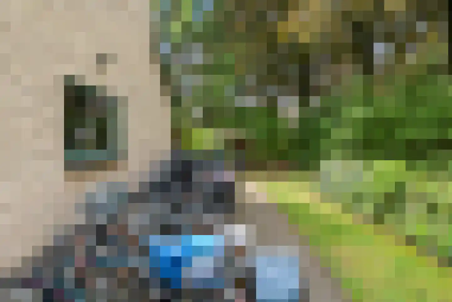 Mariënhoven 90 Bennekom thumbnail 33