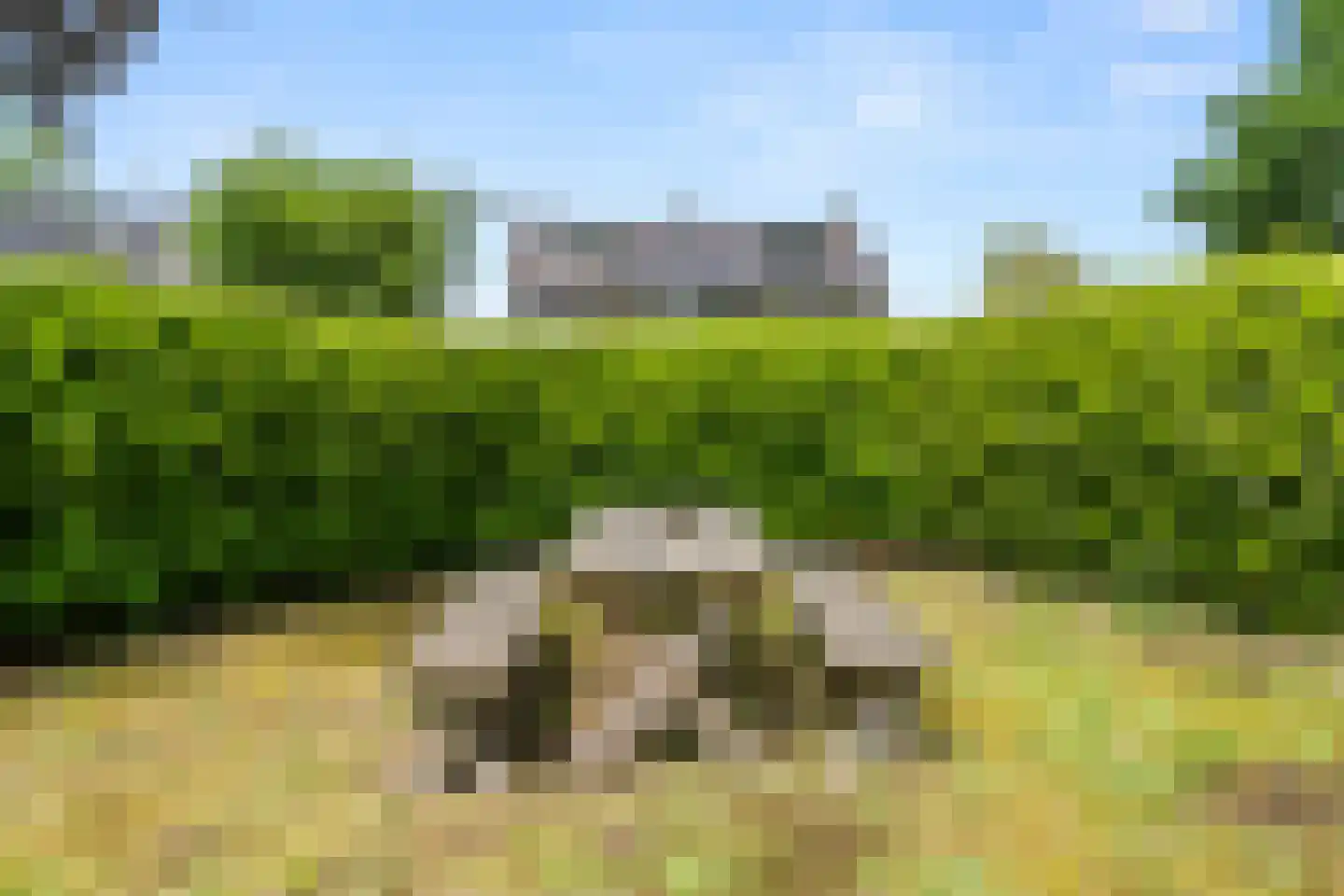 Mariënhoven 90 Bennekom thumbnail 35