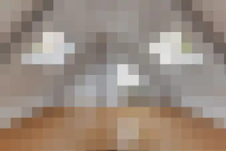 Mariënlaan 6 Alkmaar thumbnail 18