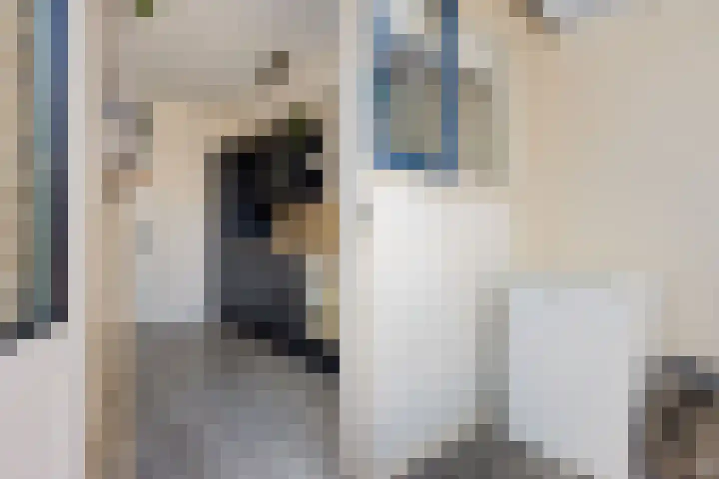 Mariënpoort 22 Bolsward thumbnail 18