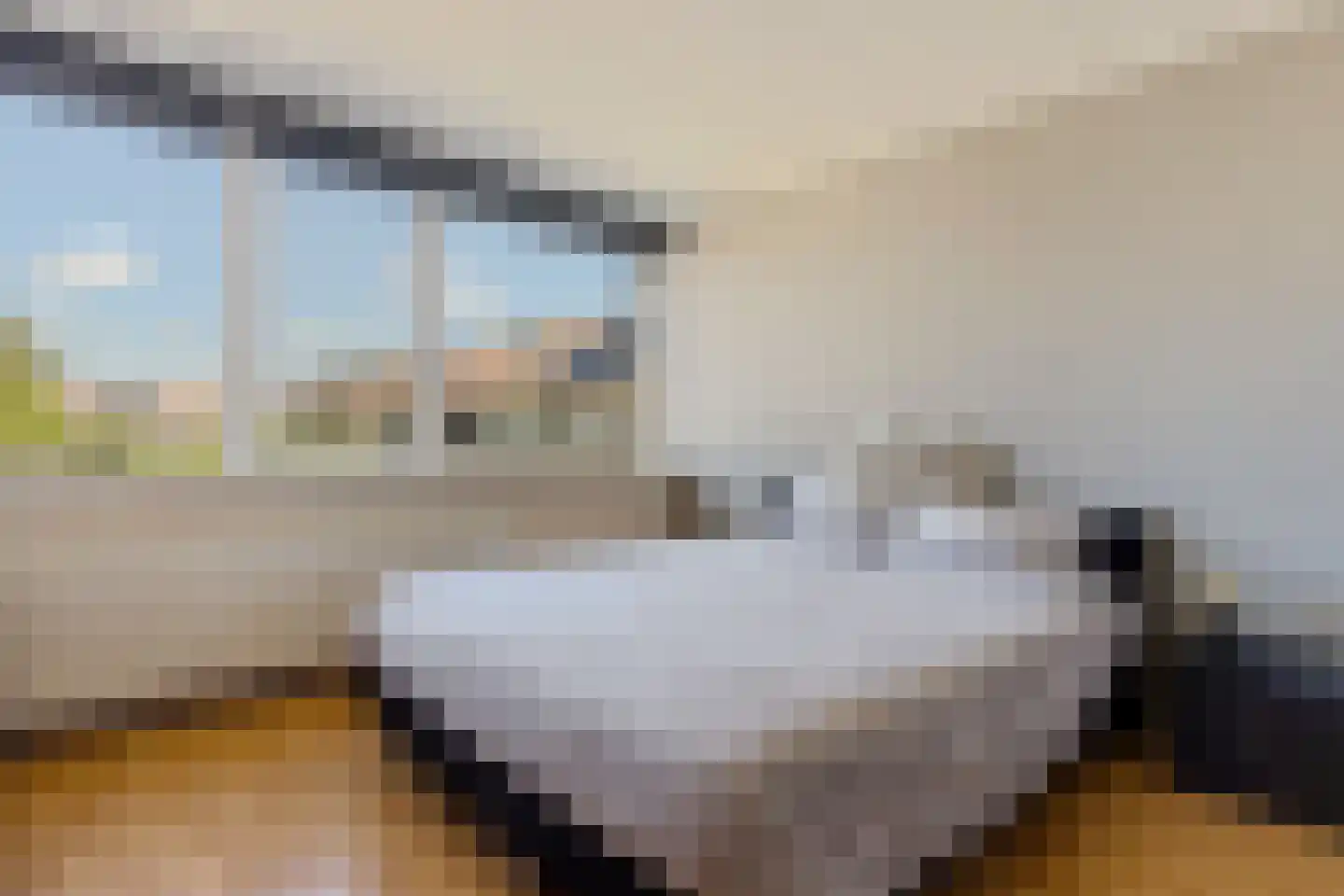 Mariënpoort 22 Bolsward thumbnail 21