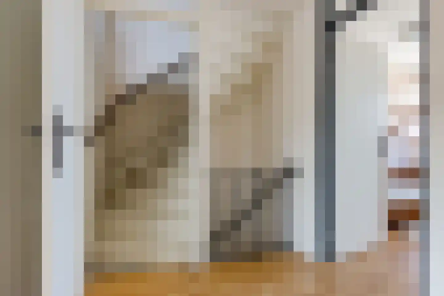 Mariënpoort 22 Bolsward thumbnail 31