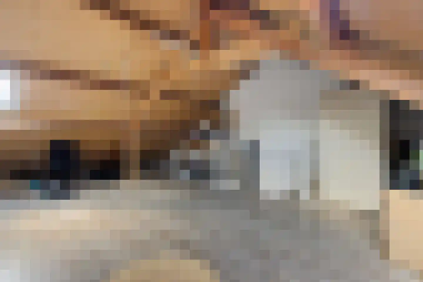 Mariënpoort 22 Bolsward thumbnail 33