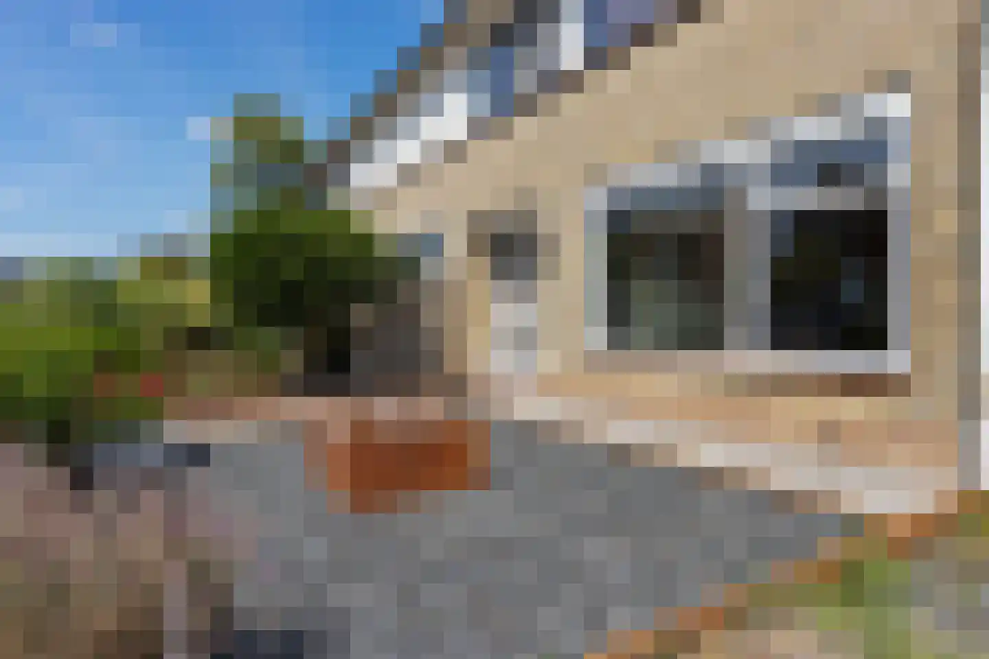 Mariënpoort 22 Bolsward thumbnail 7