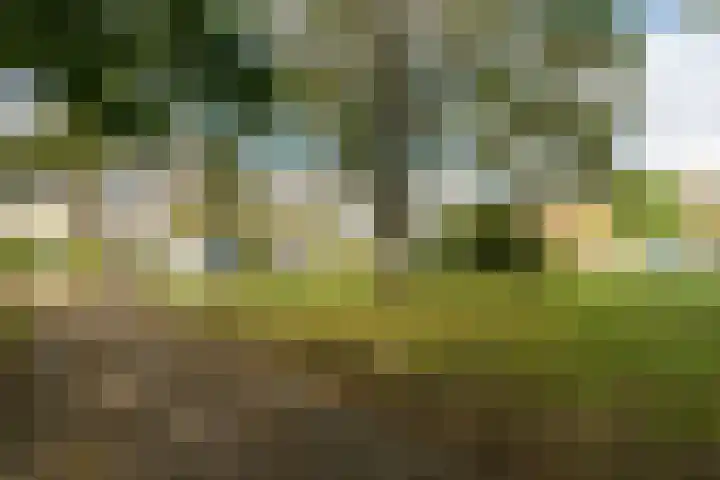 Mariënstein 168 Heiloo thumbnail 69