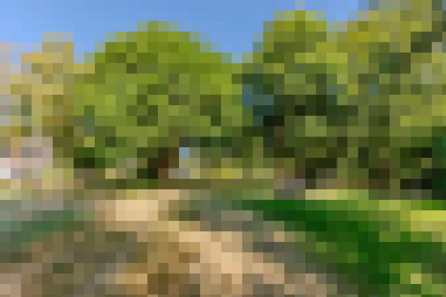 Mariënstein 174 Heiloo thumbnail 28
