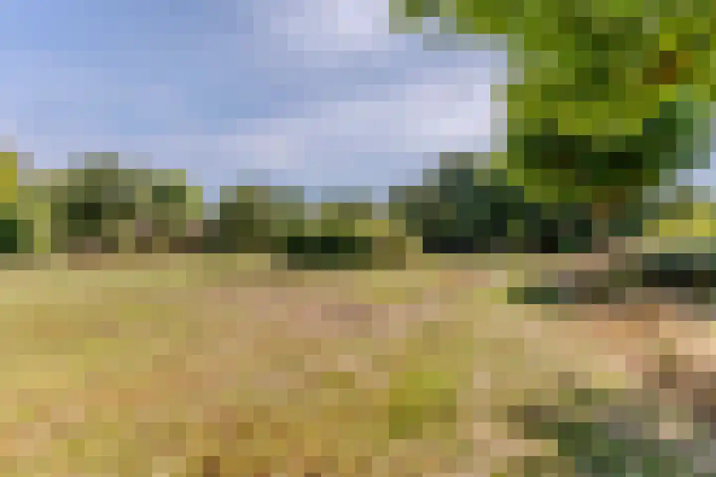 Mariënstein 174 Heiloo thumbnail 29