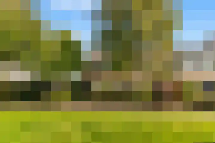 Mariënstein 80 Heiloo thumbnail 31