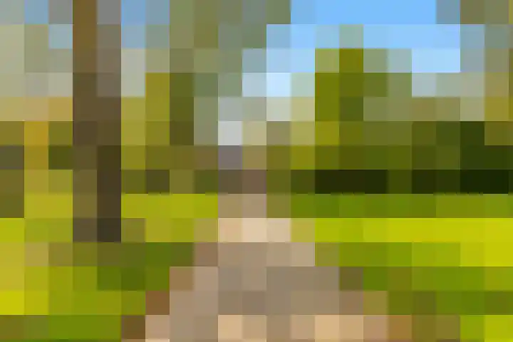 Mariënstein 80 Heiloo thumbnail 33