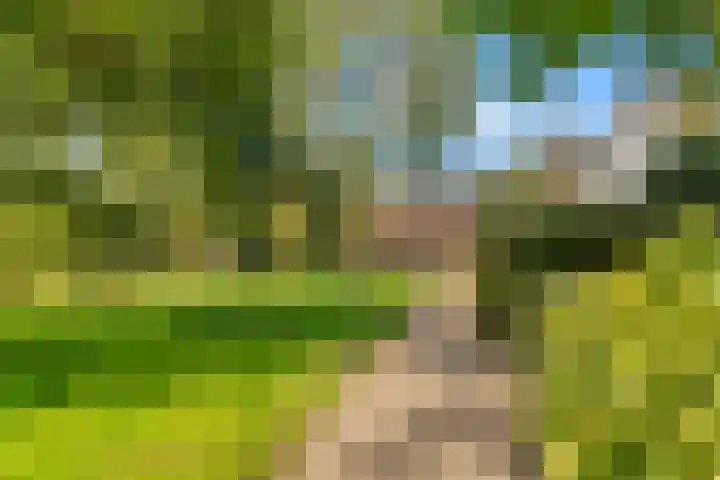Mariënstein 80 Heiloo thumbnail 5