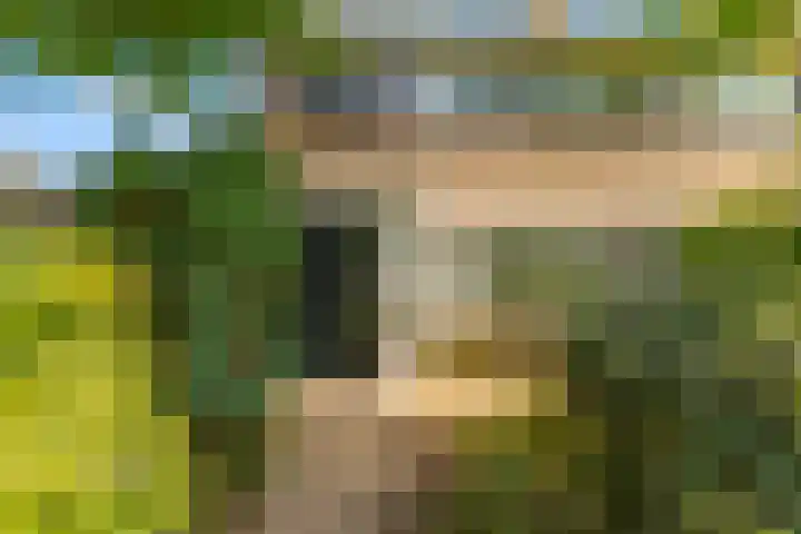 Mariënstein 80 Heiloo thumbnail 6