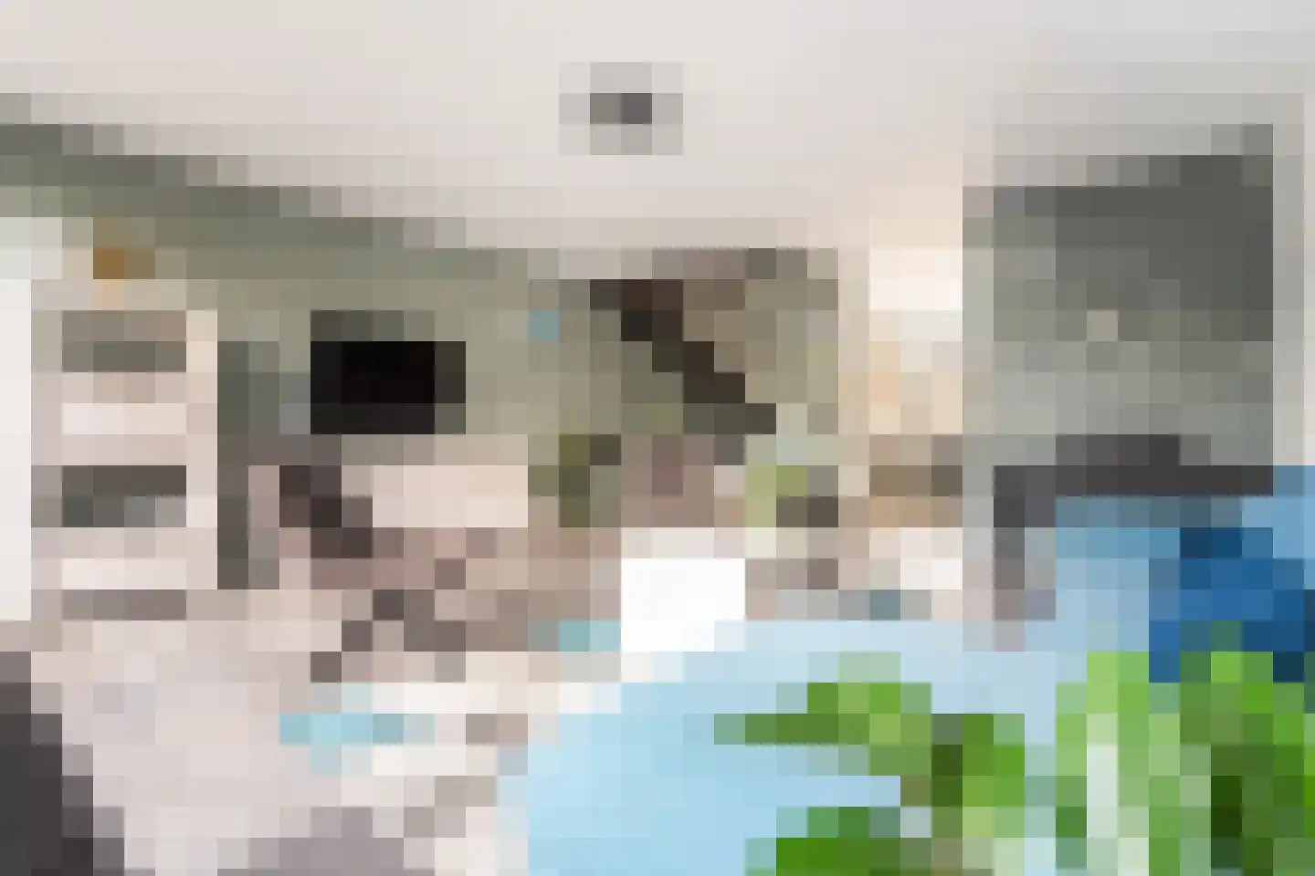 Mariënwaard 15 Capelle aan den IJssel thumbnail 12