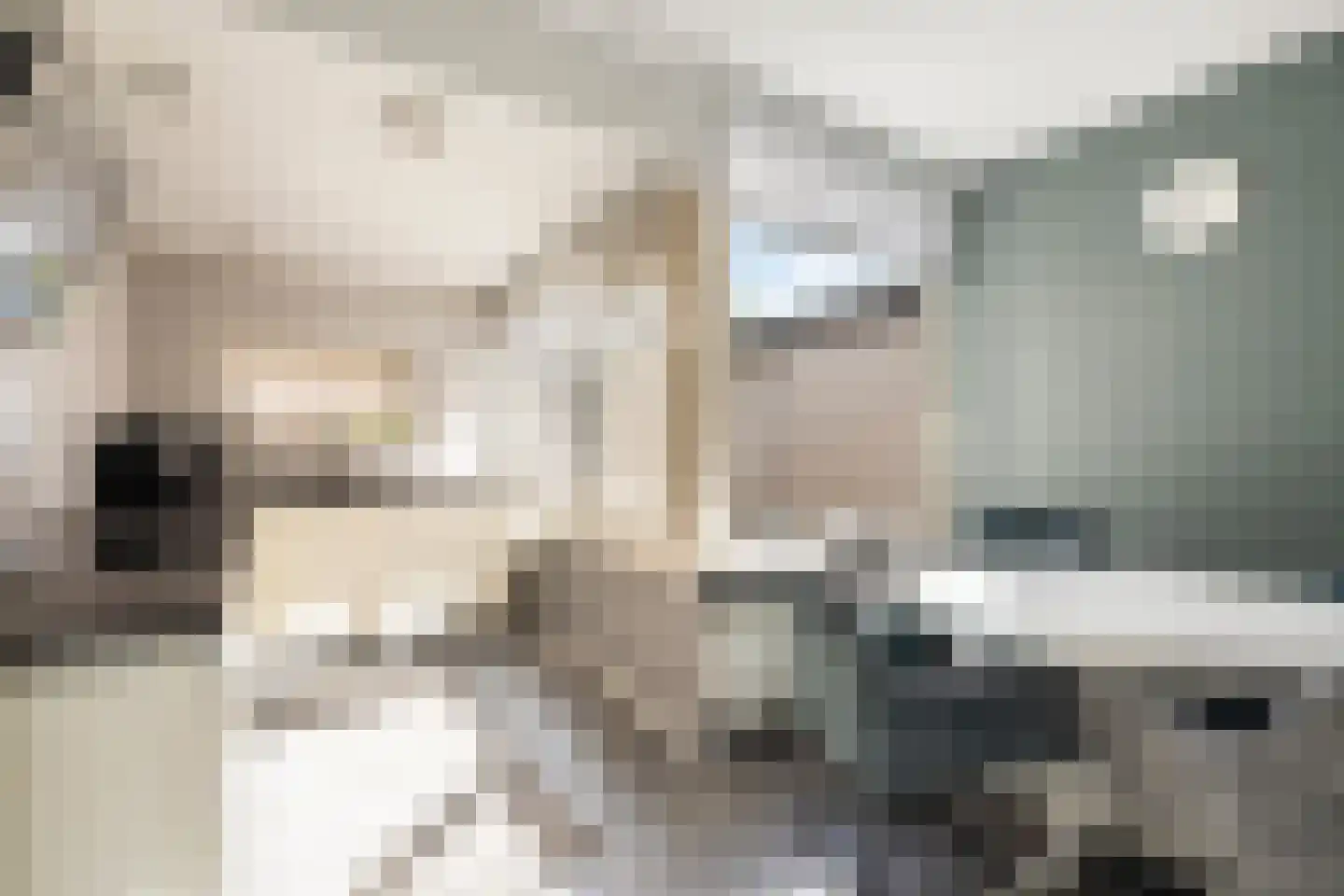 Mariënwaard 15 Capelle aan den IJssel thumbnail 15
