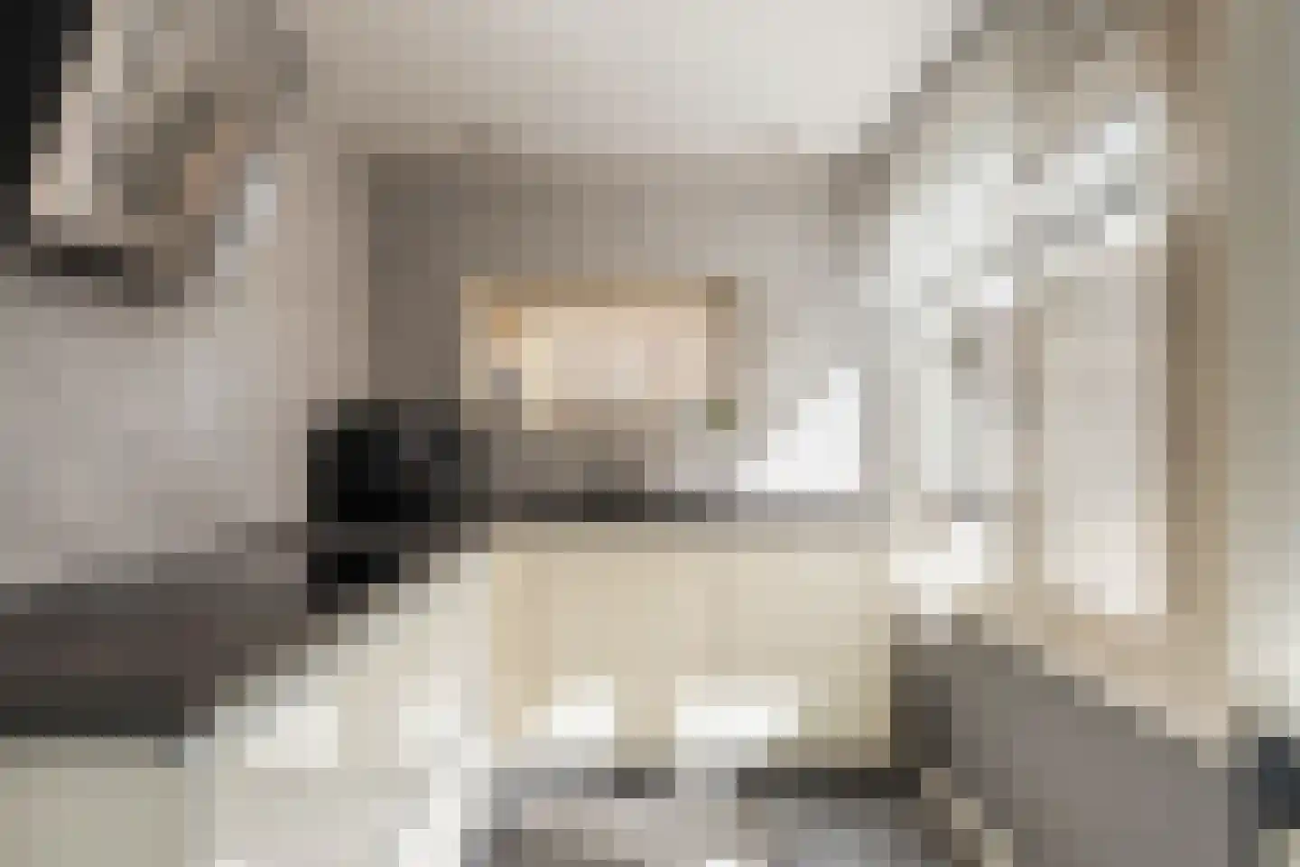 Mariënwaard 15 Capelle aan den IJssel thumbnail 17