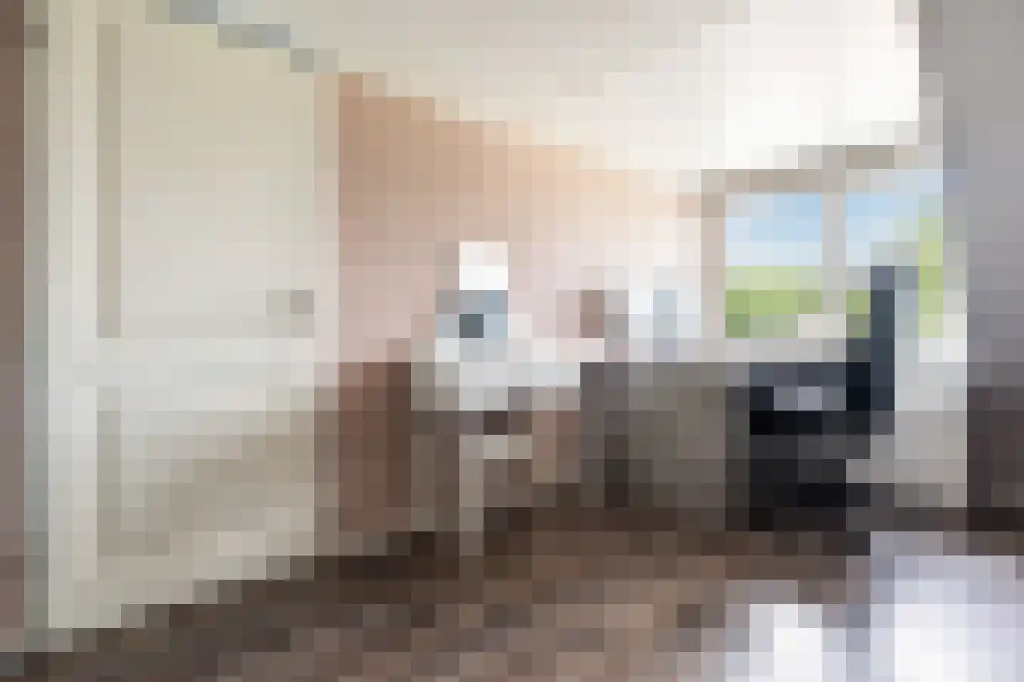 Mariënwaard 15 Capelle aan den IJssel thumbnail 36