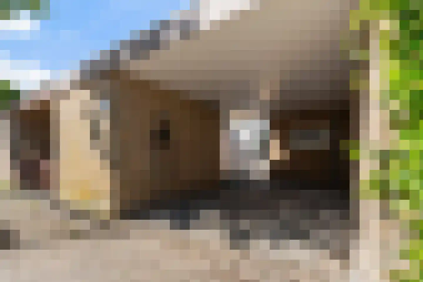 Mariënwaard 15 Capelle aan den IJssel thumbnail 45