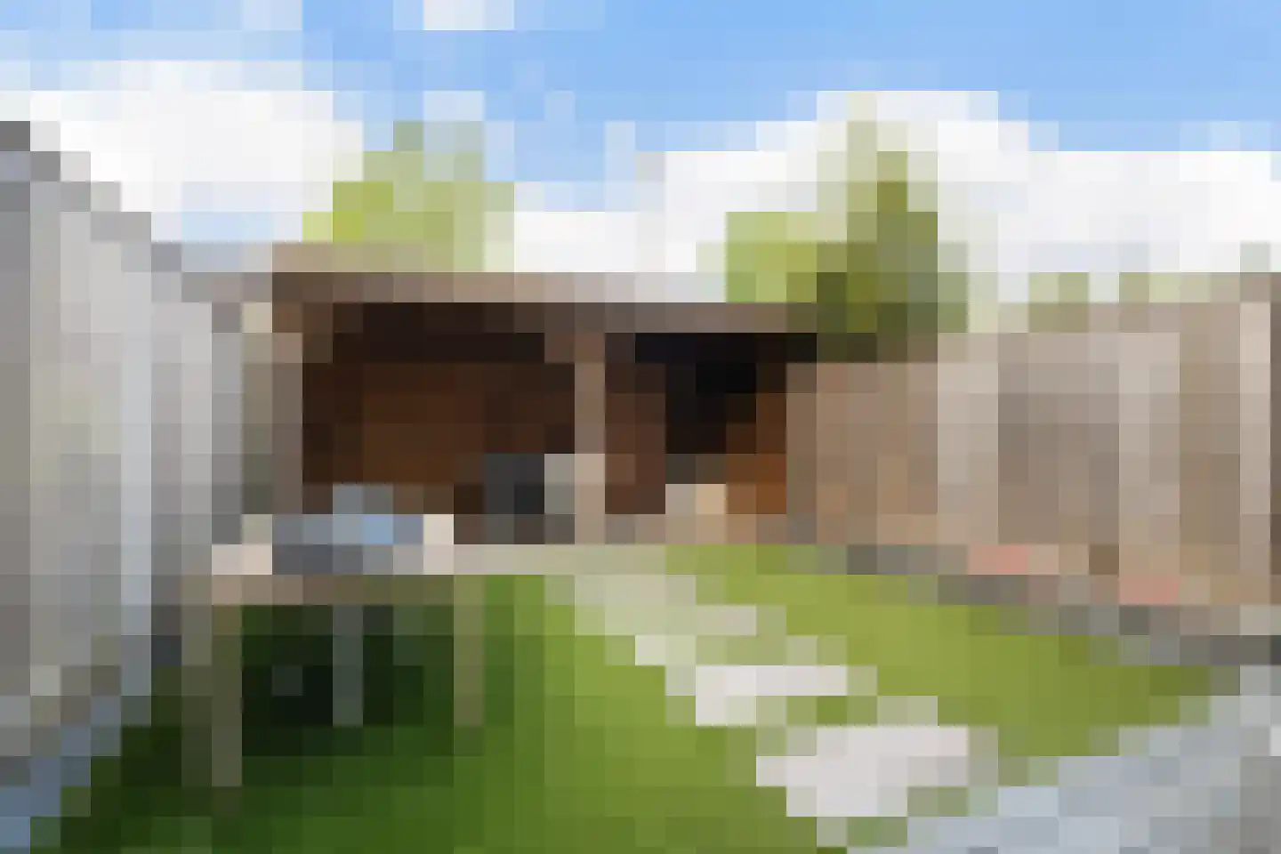 Mariënwaard 15 Capelle aan den IJssel thumbnail 7